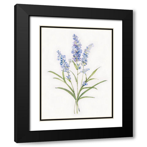 Dainty Botancial Lavender Black Modern Wood Framed Art Print with Double Matting by Swatland, Sally