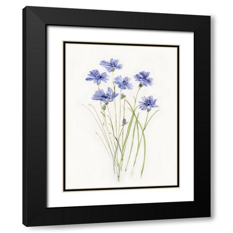 Dainty Botanical Cornflower Black Modern Wood Framed Art Print with Double Matting by Swatland, Sally