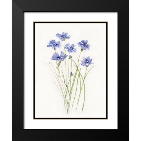 Dainty Botanical Cornflower Black Modern Wood Framed Art Print with Double Matting by Swatland, Sally