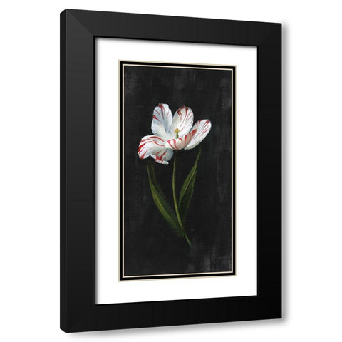 Master Botanical I Black Modern Wood Framed Art Print with Double Matting by Nan