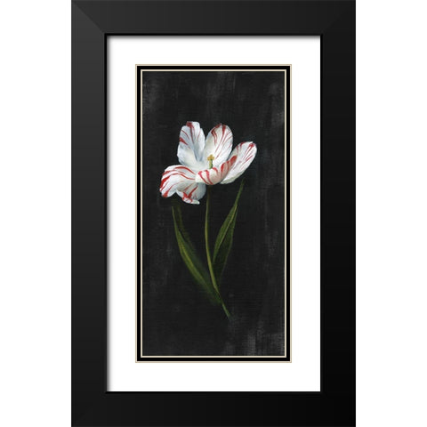 Master Botanical I Black Modern Wood Framed Art Print with Double Matting by Nan