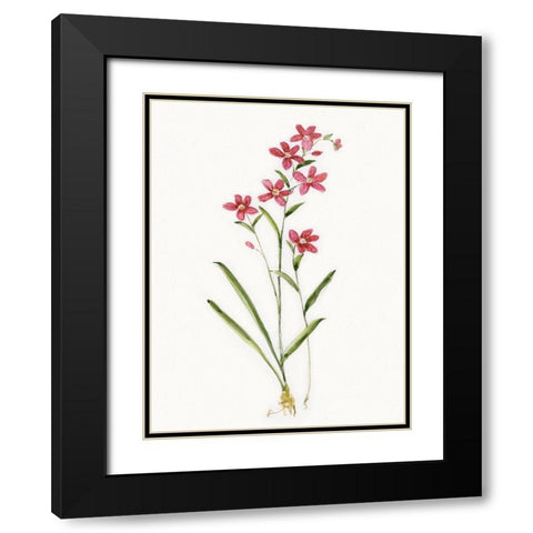 Delicate Pink I Black Modern Wood Framed Art Print with Double Matting by Swatland, Sally