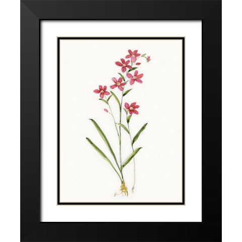Delicate Pink I Black Modern Wood Framed Art Print with Double Matting by Swatland, Sally