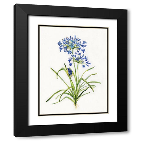 Blue Lively Botanical I Black Modern Wood Framed Art Print with Double Matting by Swatland, Sally