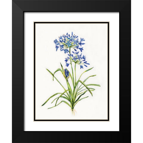 Blue Lively Botanical I Black Modern Wood Framed Art Print with Double Matting by Swatland, Sally