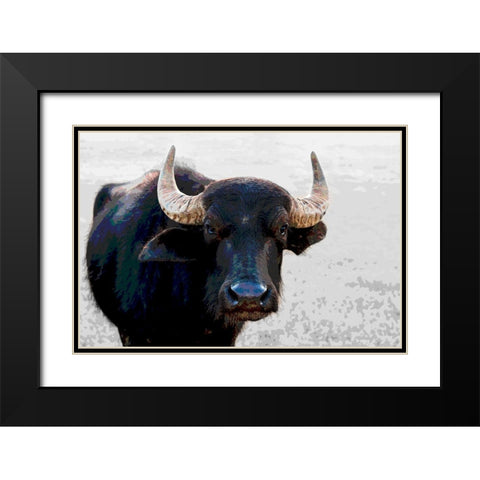 Buffalo Meets Warhol Black Modern Wood Framed Art Print with Double Matting by Tondini, Nico