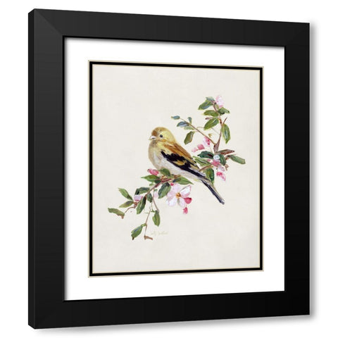 Spring Song Pine Grosbeak Black Modern Wood Framed Art Print with Double Matting by Swatland, Sally