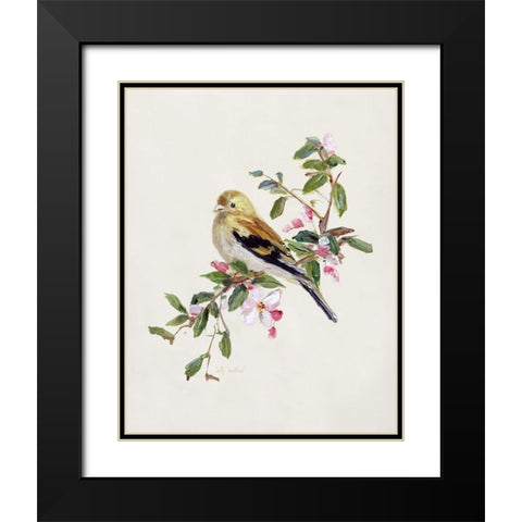 Spring Song Pine Grosbeak Black Modern Wood Framed Art Print with Double Matting by Swatland, Sally