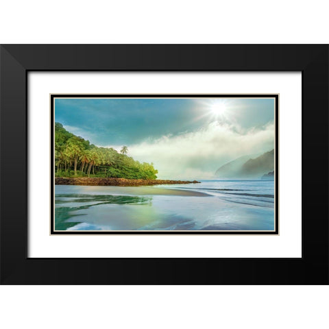 Jungle Meets the Sea Black Modern Wood Framed Art Print with Double Matting by Calascibetta, Mike