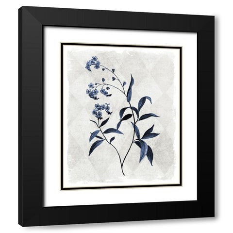 Harlequin Botanical I Black Modern Wood Framed Art Print with Double Matting by Robinson, Carol