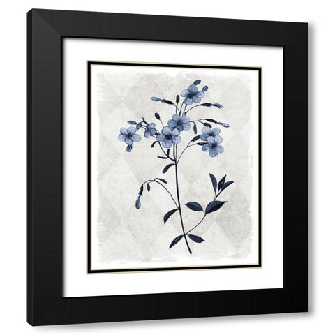 Harlequin Botanical III Black Modern Wood Framed Art Print with Double Matting by Robinson, Carol