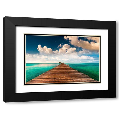 Tropic Blues Black Modern Wood Framed Art Print with Double Matting by Calascibetta, Mike