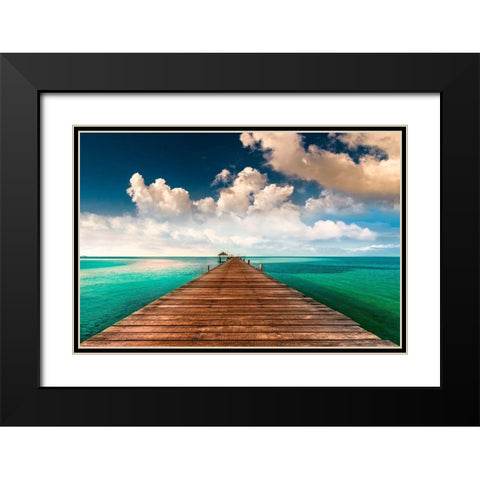 Tropic Blues Black Modern Wood Framed Art Print with Double Matting by Calascibetta, Mike