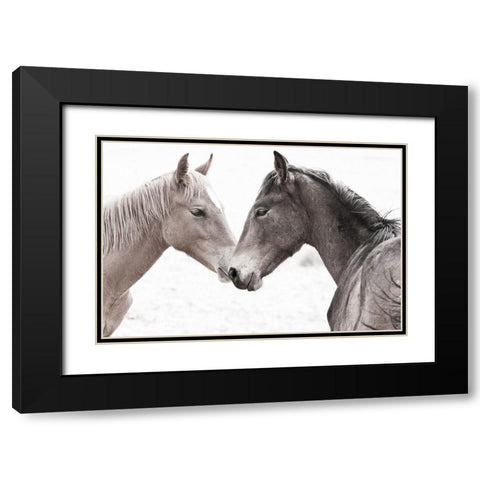 Gentle Herd Black Modern Wood Framed Art Print with Double Matting by Jaynes, William D.