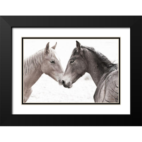 Gentle Herd Black Modern Wood Framed Art Print with Double Matting by Jaynes, William D.