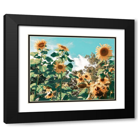 Sunflower Field Black Modern Wood Framed Art Print with Double Matting by Carpentieri, Natalie