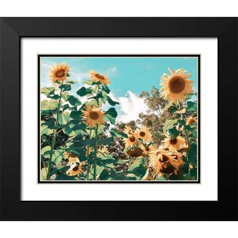 Sunflower Field Black Modern Wood Framed Art Print with Double Matting by Carpentieri, Natalie