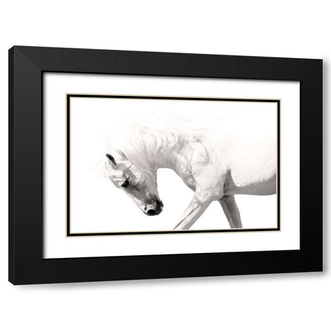 Neutral Stallion Black Modern Wood Framed Art Print with Double Matting by Klopfer, Lee
