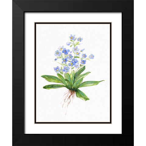 Garden Botanical I Black Modern Wood Framed Art Print with Double Matting by Swatland, Sally