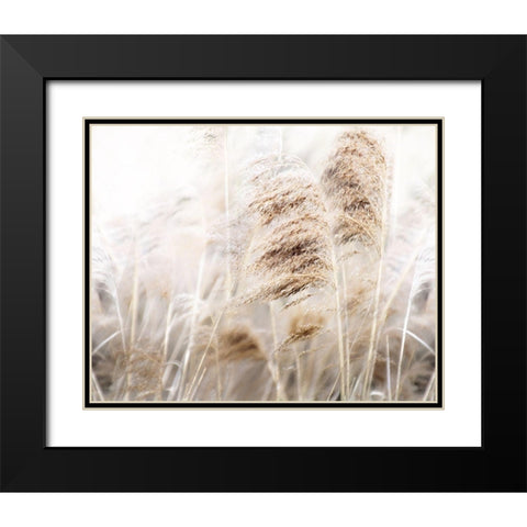 Soft Pampas Black Modern Wood Framed Art Print with Double Matting by Weisz, Irene