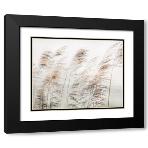 Delicate Pampas Black Modern Wood Framed Art Print with Double Matting by Weisz, Irene