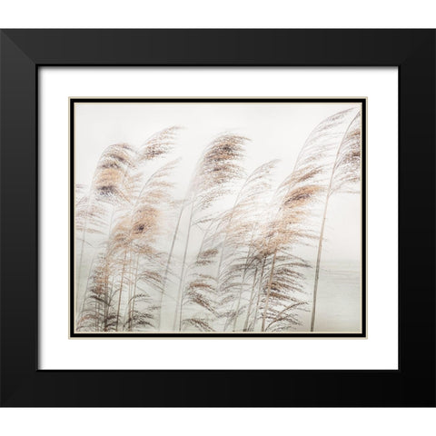 Delicate Pampas Black Modern Wood Framed Art Print with Double Matting by Weisz, Irene