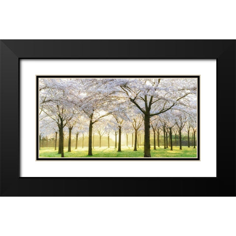 Bridal Trees Black Modern Wood Framed Art Print with Double Matting by Van de Goor, Lars
