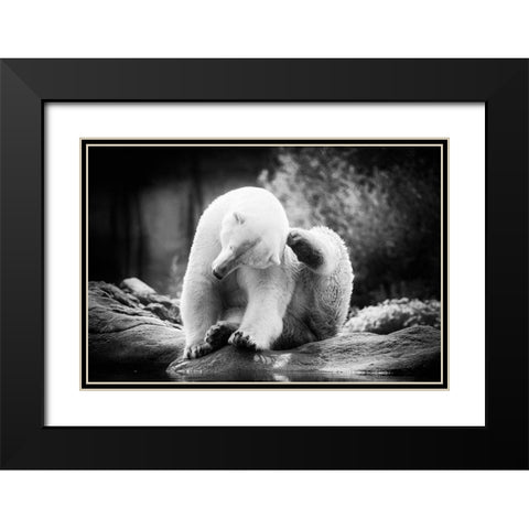 Scratching Black Modern Wood Framed Art Print with Double Matting by Van de Goor, Lars