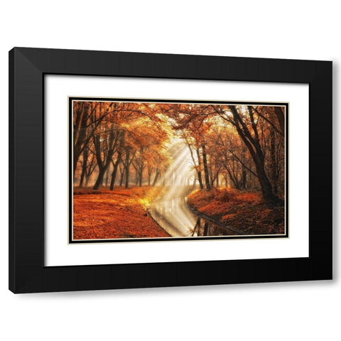 Little Black Duck Black Modern Wood Framed Art Print with Double Matting by Van de Goor, Lars