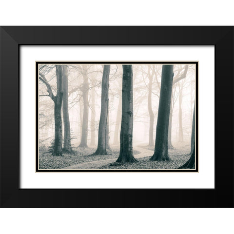 A Sunday Walk Black Modern Wood Framed Art Print with Double Matting by Van de Goor, Lars