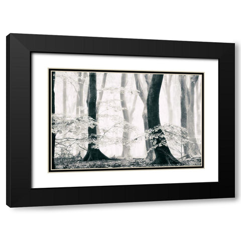 Silence of the Forest Black Modern Wood Framed Art Print with Double Matting by Van de Goor, Lars