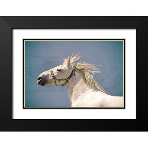 Scratch Black Modern Wood Framed Art Print with Double Matting by Van de Goor, Lars