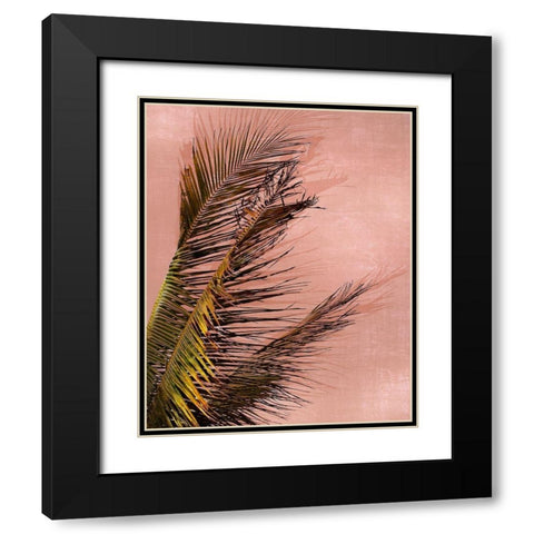 Honduras Palm Black Modern Wood Framed Art Print with Double Matting by Carpentieri, Natalie