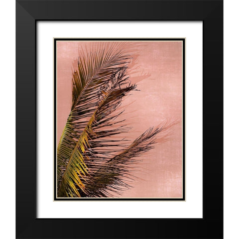 Honduras Palm Black Modern Wood Framed Art Print with Double Matting by Carpentieri, Natalie