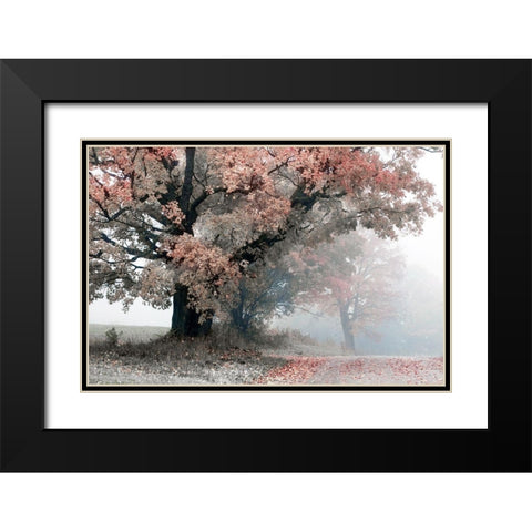 Magical Middle Earth Black Modern Wood Framed Art Print with Double Matting by Sutton, William