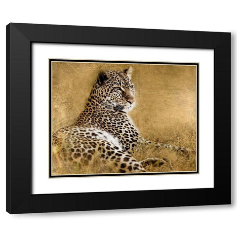 Tall Grass Gold Black Modern Wood Framed Art Print with Double Matting by Soulders, Paul