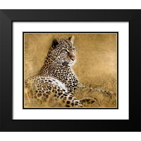 Tall Grass Gold Black Modern Wood Framed Art Print with Double Matting by Soulders, Paul