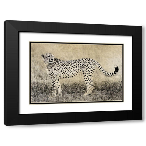 Camouflage Black Modern Wood Framed Art Print with Double Matting by Jaynes, William D.