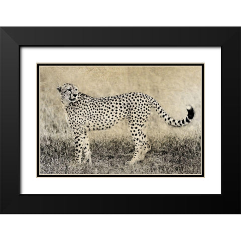 Camouflage Black Modern Wood Framed Art Print with Double Matting by Jaynes, William D.