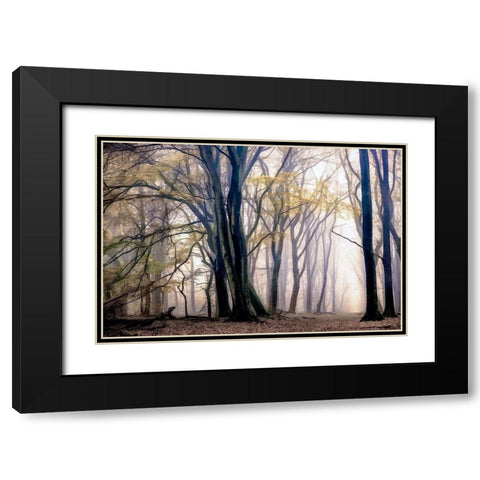 Fall Softly Black Modern Wood Framed Art Print with Double Matting by Van de Goor, Lars