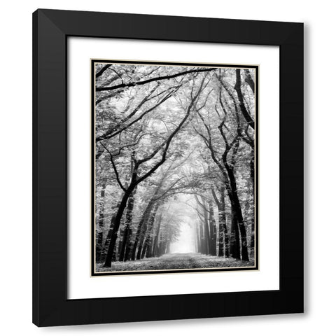 Cathedral Forest Black Modern Wood Framed Art Print with Double Matting by Van de Goor, Lars