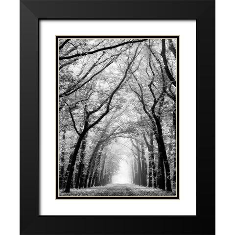 Cathedral Forest Black Modern Wood Framed Art Print with Double Matting by Van de Goor, Lars