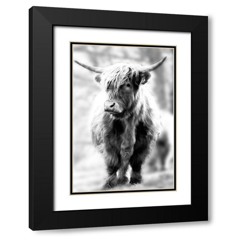 Yorkshire Black Modern Wood Framed Art Print with Double Matting by Sturdevant, Jay