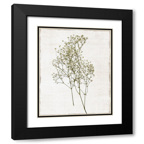 Farmhouse Pressed Flower I Black Modern Wood Framed Art Print with Double Matting by Carpentieri, Natalie