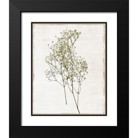 Farmhouse Pressed Flower I Black Modern Wood Framed Art Print with Double Matting by Carpentieri, Natalie