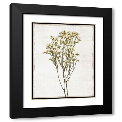 Farmhouse Pressed Flower II Black Modern Wood Framed Art Print with Double Matting by Carpentieri, Natalie