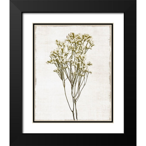 Farmhouse Pressed Flower II Black Modern Wood Framed Art Print with Double Matting by Carpentieri, Natalie