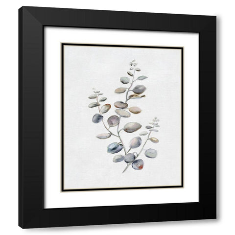 Eucalyptus II Black Modern Wood Framed Art Print with Double Matting by Brooks, Donna