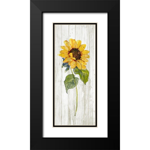 Sunflower in Autumn I Black Modern Wood Framed Art Print with Double Matting by Swatland, Sally