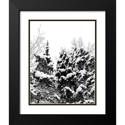 Wintery Dreams I Black Modern Wood Framed Art Print with Double Matting by Carpentieri, Natalie